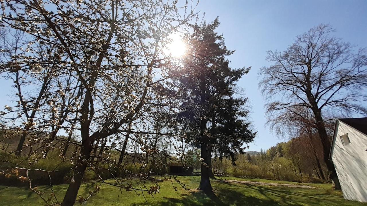 Resort Chribska Apartmany Adri Exteriör bild